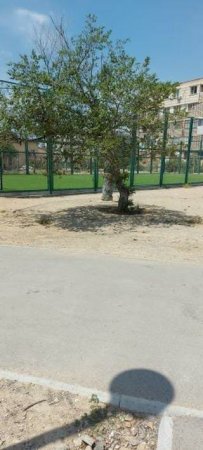 «Кабели прячут под мусором»: Жители Актау присылают фото и видео торчащих из земли электрических сетей