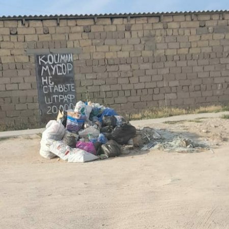 Баскудык. Без комментариев