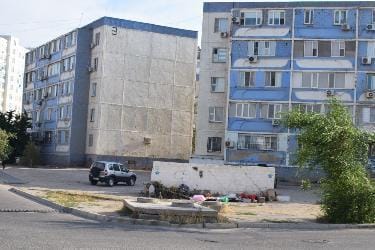 Труп жеребёнка возле мусорных баков обнаружили жители 28 микрорайона Актау