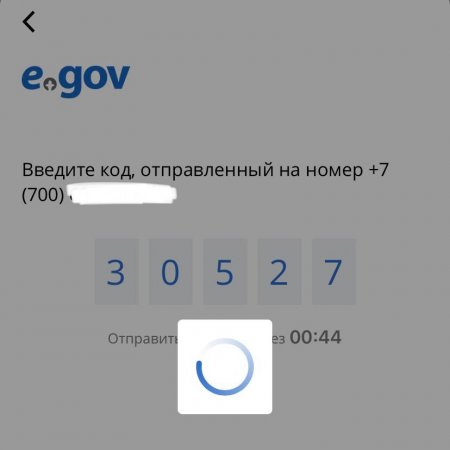 Верификация не пройдена: Как журналист NT пыталась пересечь границу Кыргызстана с паспортом вакцинации