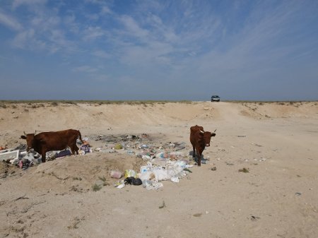 Стихийную свалку в одном из сел Мангистау запечатлел блогер