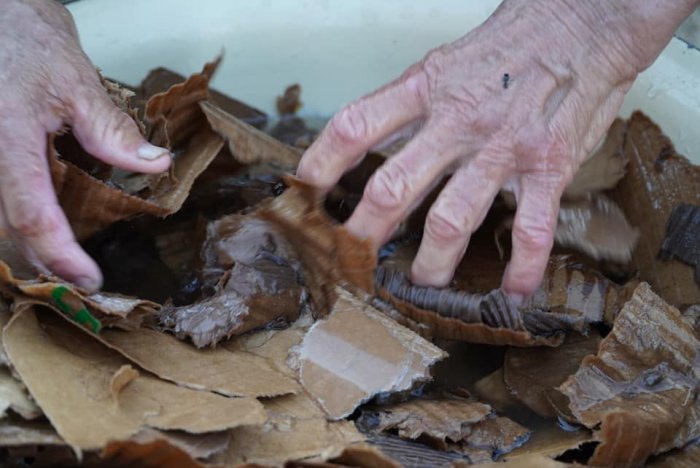 Вот и дожили! Верблюдов и овец в Мангистау кормят размоченным картоном