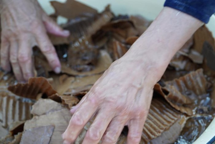 Вот и дожили! Верблюдов и овец в Мангистау кормят размоченным картоном