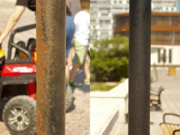 Мусор в обмен на напиток: Необычную акцию провели жители Актау