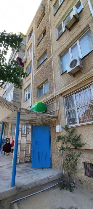 Активисты из Актау разработали собственную систему полива зеленых насаждений