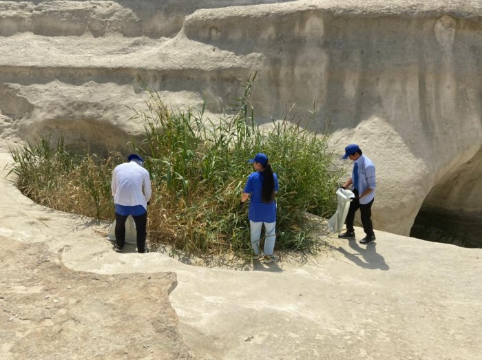 Активисты Мангистау за один день собрали более трех тонн мусора в ущелье Ыбыкты сай