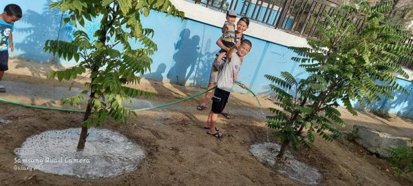 Жильцы дома в Актау самостоятельно поливают деревья