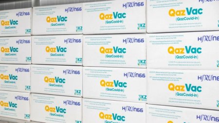 Известны результаты исследований вакцины QazVac