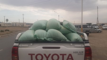 Волонтёры в Мангистау собрали деньги для голодающего скота