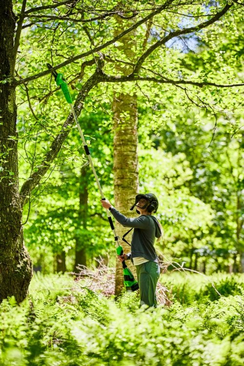 (У) Дачный август