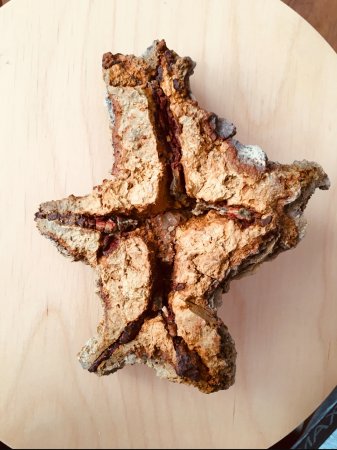 Морская звезда океан Тетис