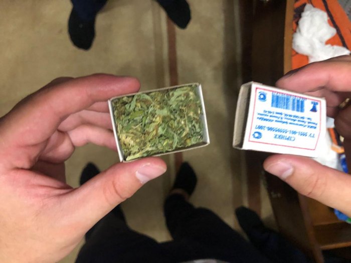 У жителя Актау изъяли 92 куста конопли