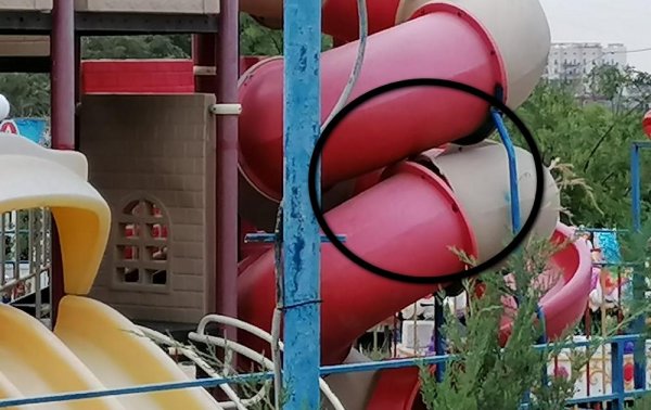 Пустая трата воды в парке Актау возмутила горожан