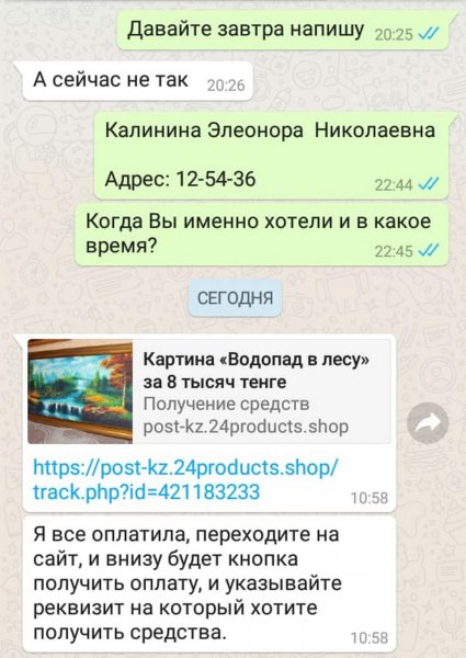 Мошенники в Cети пытались обмануть жительницу Актау