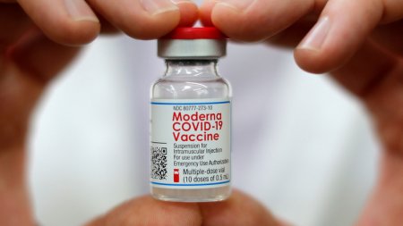 Moderna предупредила об опасности ослабления защиты вакцин