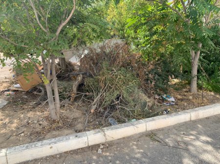 Третий месяц растет куча мусора перед детским садом