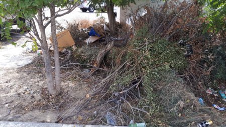 Третий месяц растет куча мусора перед детским садом