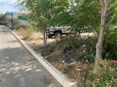 Третий месяц растет куча мусора перед детским садом