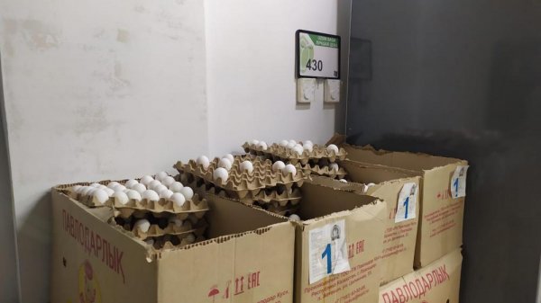 Куриные яйца в Мангистау подорожали