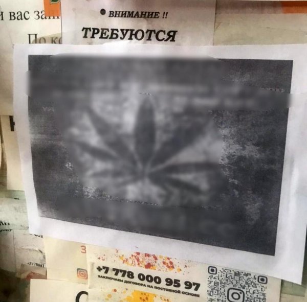 Автора наркограффити в Актау задержали на месте преступления