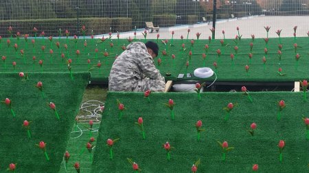 Это только цветочки! Кто принял решение установить пластиковые тюльпаны в Актау за 15 миллионов тенге