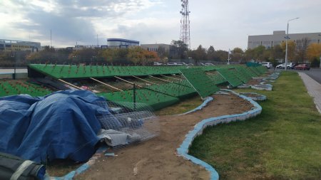 Это только цветочки! Кто принял решение установить пластиковые тюльпаны в Актау за 15 миллионов тенге