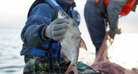 Каспий обмелел: рыбаки из Атырау могут разориться