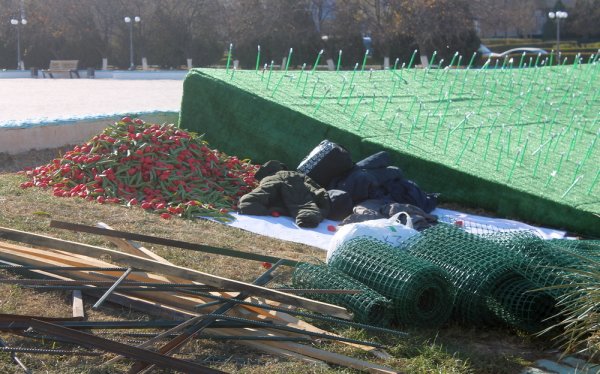 Что происходит с пластиковыми тюльпанами за 15 миллионов тенге
