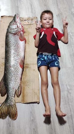 "Вытаскивали двумя багориками" - Щуку весом 14,5 кг поймал житель Костаная