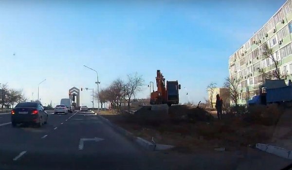 Ждём пластиковые розы? Коммунальщики уничтожили 15 -летние живые деревья в Актау