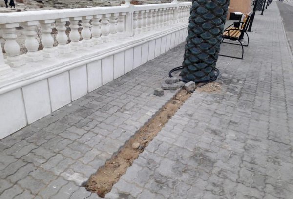 К пальмам на набережной Актау прокладывают кабели