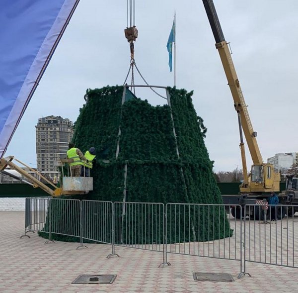 Новогодние ёлки начали устанавливать в Актау