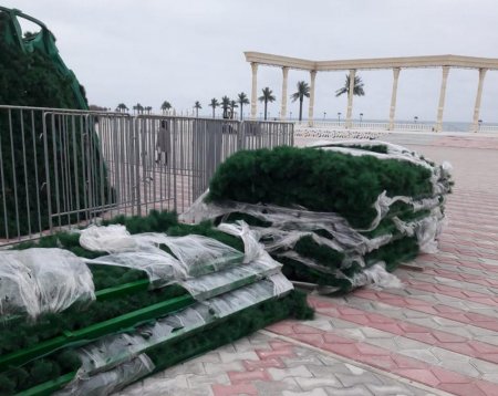 Новогодние ёлки начали устанавливать в Актау