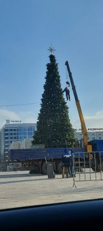 Украшал елку: в акимате Атырау прокомментировали фото с "повисшим" работником