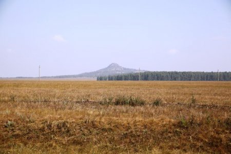 Истории о золоте Колчака в Северном Казахстане 100 лет не дают покоя кладоискателям