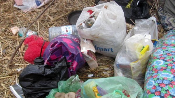 Кто знает этого человека? Мужчина живёт в камышах у моря в Актау