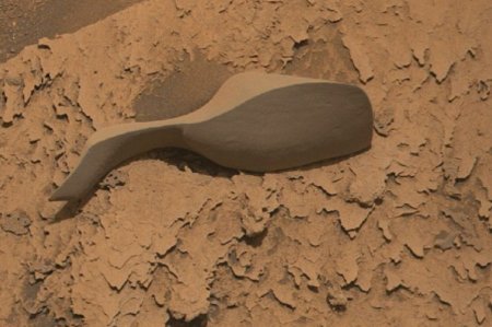 «Это домбра»: Странный объект обнаружили на Марсе