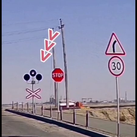 Удивительный патруль. ВИДЕО