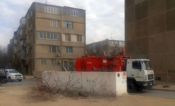 Жители сообщили о спиленных деревьях в Актау