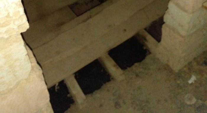 Спасатели Мангистау достали провалившегося в уличный туалет щенка