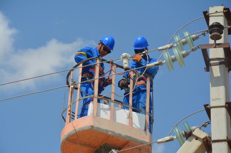 Энергетики АО «МРЭК» отремонтировали более 550 километров воздушных линий электропередачи в 2021 году