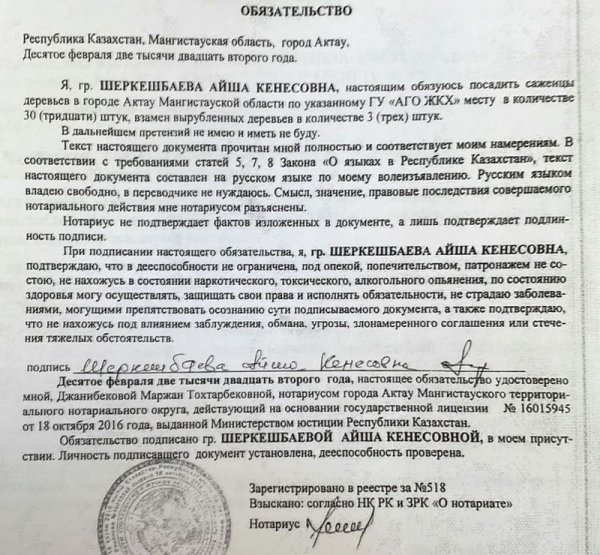 Деревья спилили в Актау для строительства: Владелица участка обязалась высадить 30 саженцев