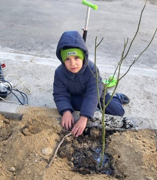 Жители Актау самостоятельно озеленили территорию у дома