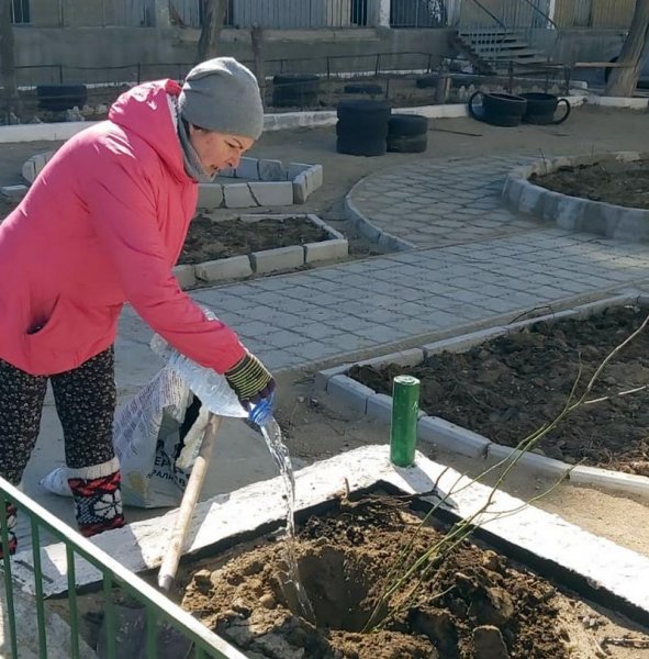 Жители Актау самостоятельно озеленили территорию у дома