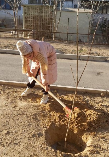 Жители Актау самостоятельно озеленили территорию у дома