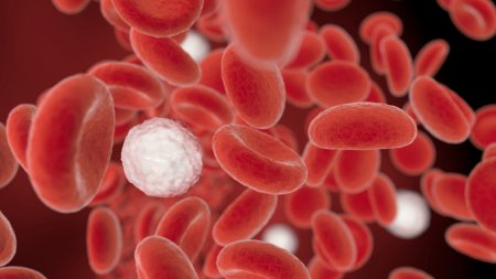 Микропластик впервые обнаружили в крови людей