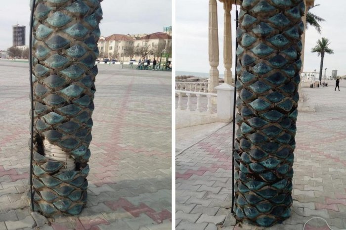 Чиновники Актау попросили горожан бережнее относиться к общегородскому имуществу