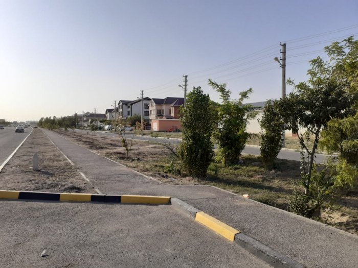 Деревья не троньте! Из-за строительства остановки житель Актау боится за вырубку зеленых насаждений