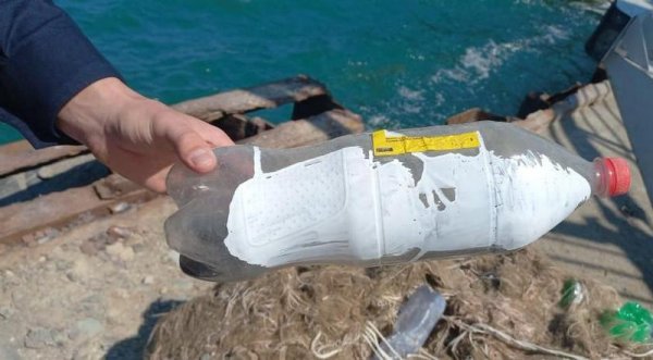 Пограничники начали «охоту» на Каспии