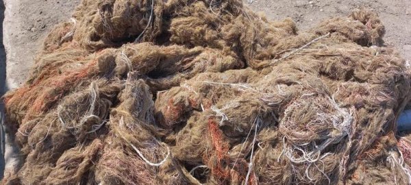 Пограничники начали «охоту» на Каспии